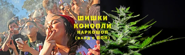spice Гусь-Хрустальный