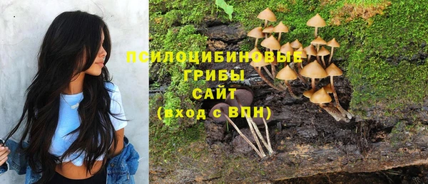 spice Гусь-Хрустальный