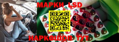 гидра Краснознаменск