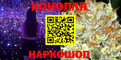 гидра Краснознаменск