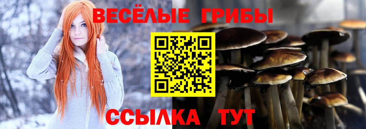 Добрянка  Галлюциногенные грибы Psilocybine cubensis  купить  сайты  Вход с VPN 
